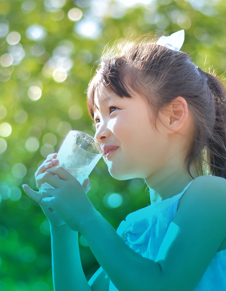 水は生命の線